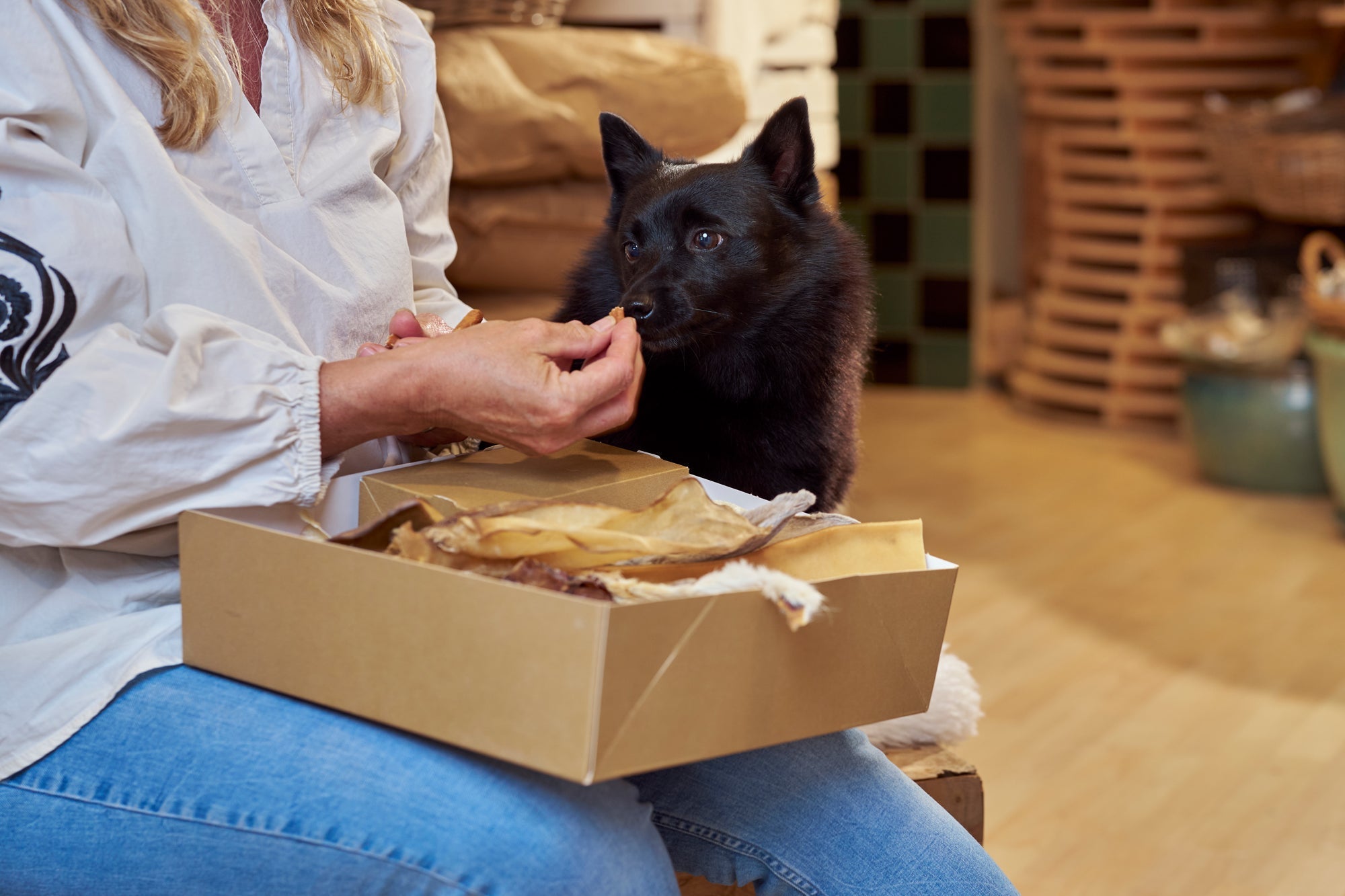 Waarom kauwen zo belangrijk is voor uw puppy