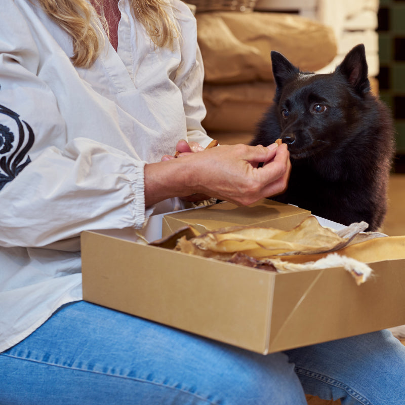 Bottenbox Giant (voor grote honden)