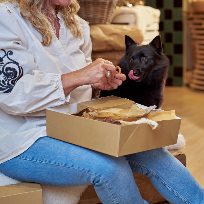 Bottenbox Classic (voor middelgrote honden)